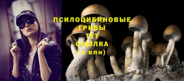 mdma Верея