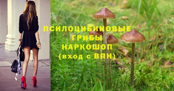 ALPHA-PVP Верхний Тагил
