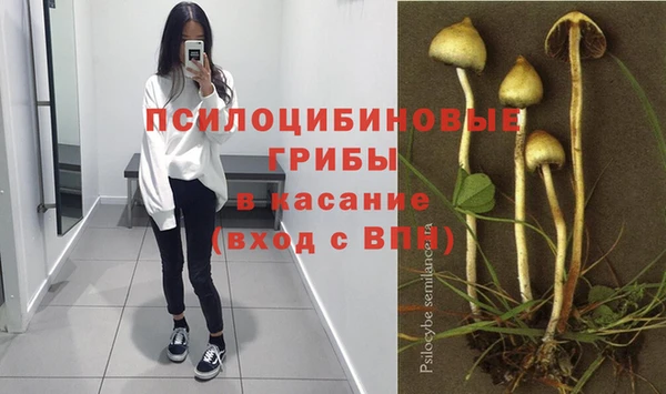 2c-b Россошь