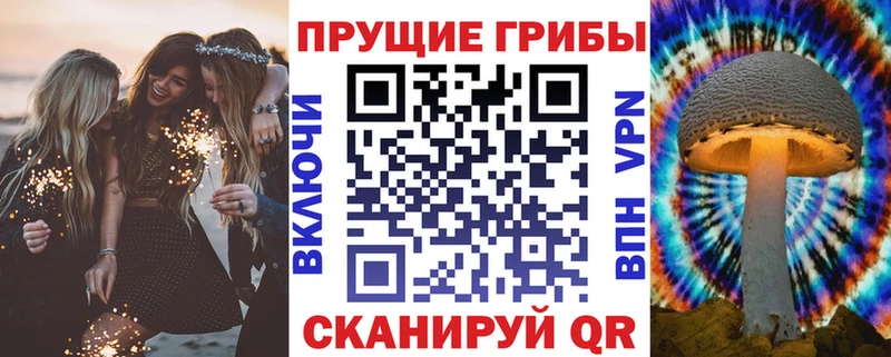 Псилоцибиновые грибы Psilocybine cubensis  купить наркотики сайты  Пестово 