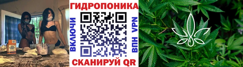 Шишки марихуана Amnesia  Пестово 